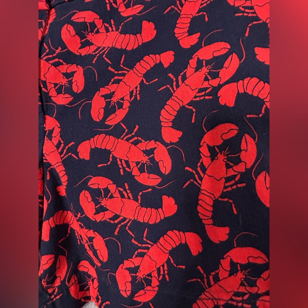 J. Crew Navy/Red Lobster Print Women's Shorts - Picture 9 of 16